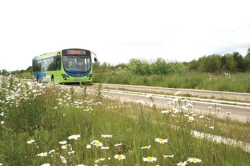 Cambridge busway still leading the way