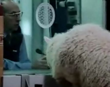 Banned Tv Adverts