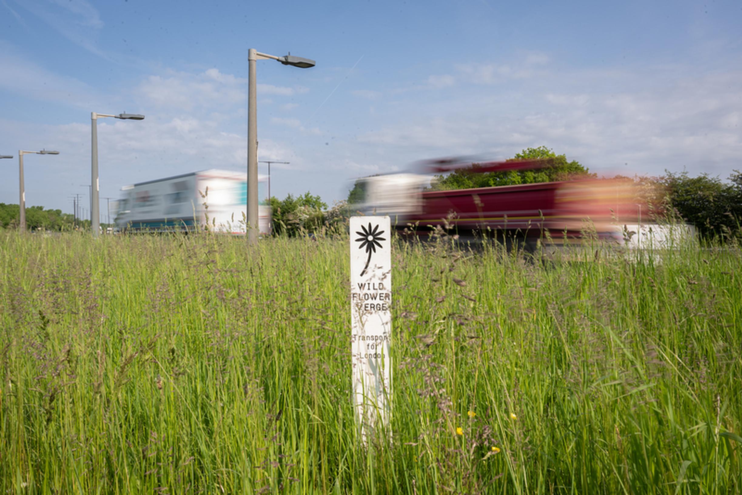Signage will be installed to make clear that verges are being managed to encourage wildflower growth