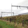 Grayling kills-off electrification plans