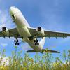 Planes fuelled by waste could take off from British airports