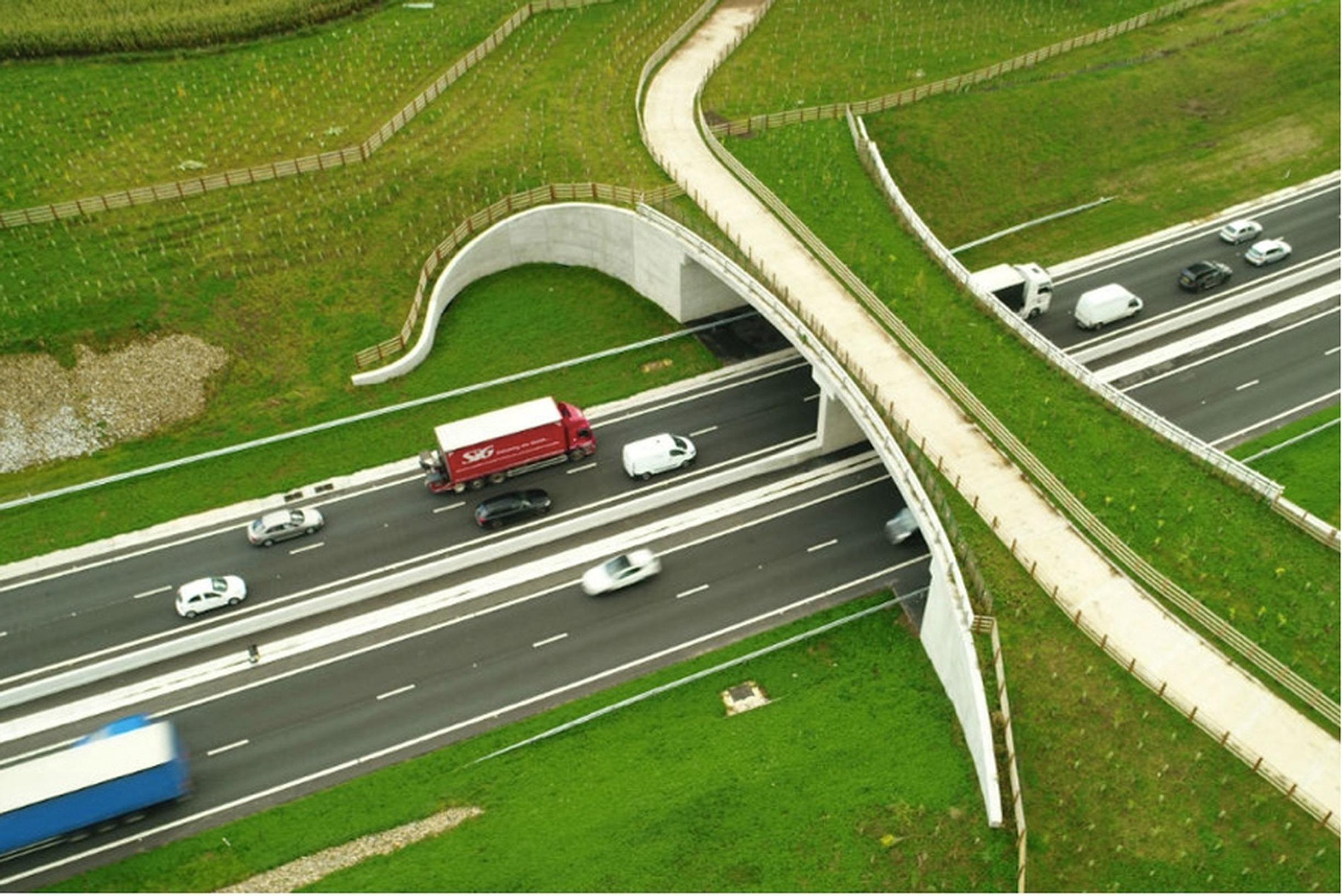 Future roads. Дизайн автодорога для. Экодук. Пешеходные мосты для животных. Зеленые мосты для животных.
