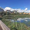 Green spaces: measuring their impact on health and wellbeing for citizens