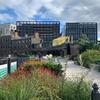 Use and quality of green spaces 'key factors that influence physical activity'