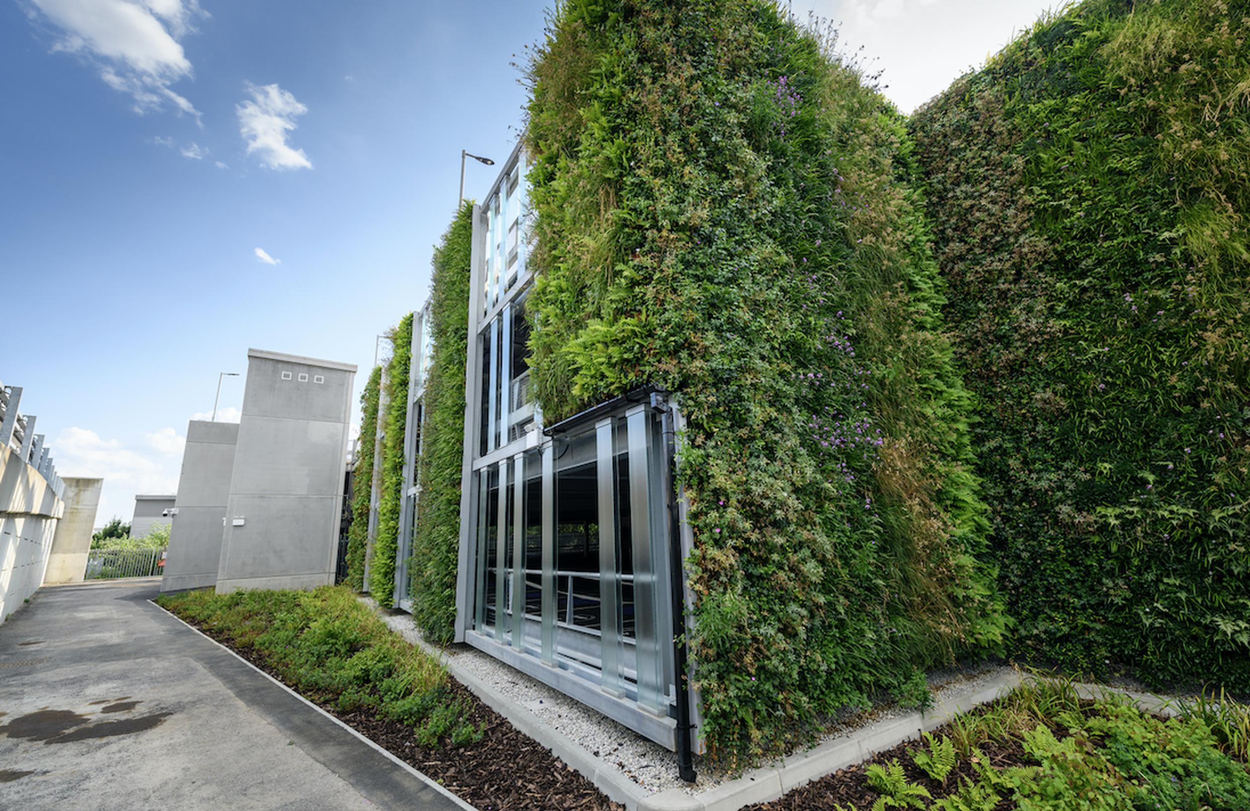 The green wall at Bedford Avenue, Slough