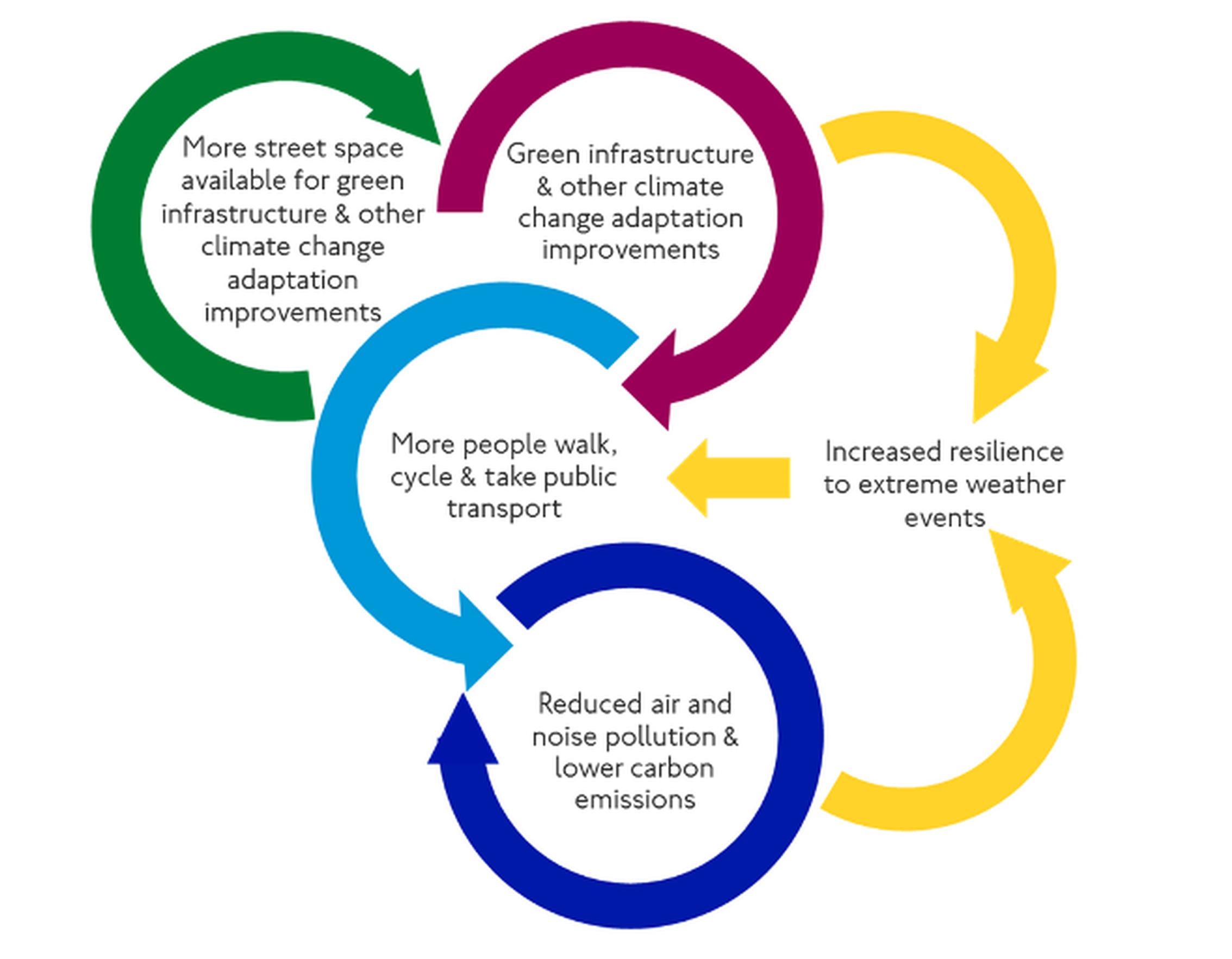 Example of how connected climate change adaptation is with resilience and a small selection of other environmental policy imperatives