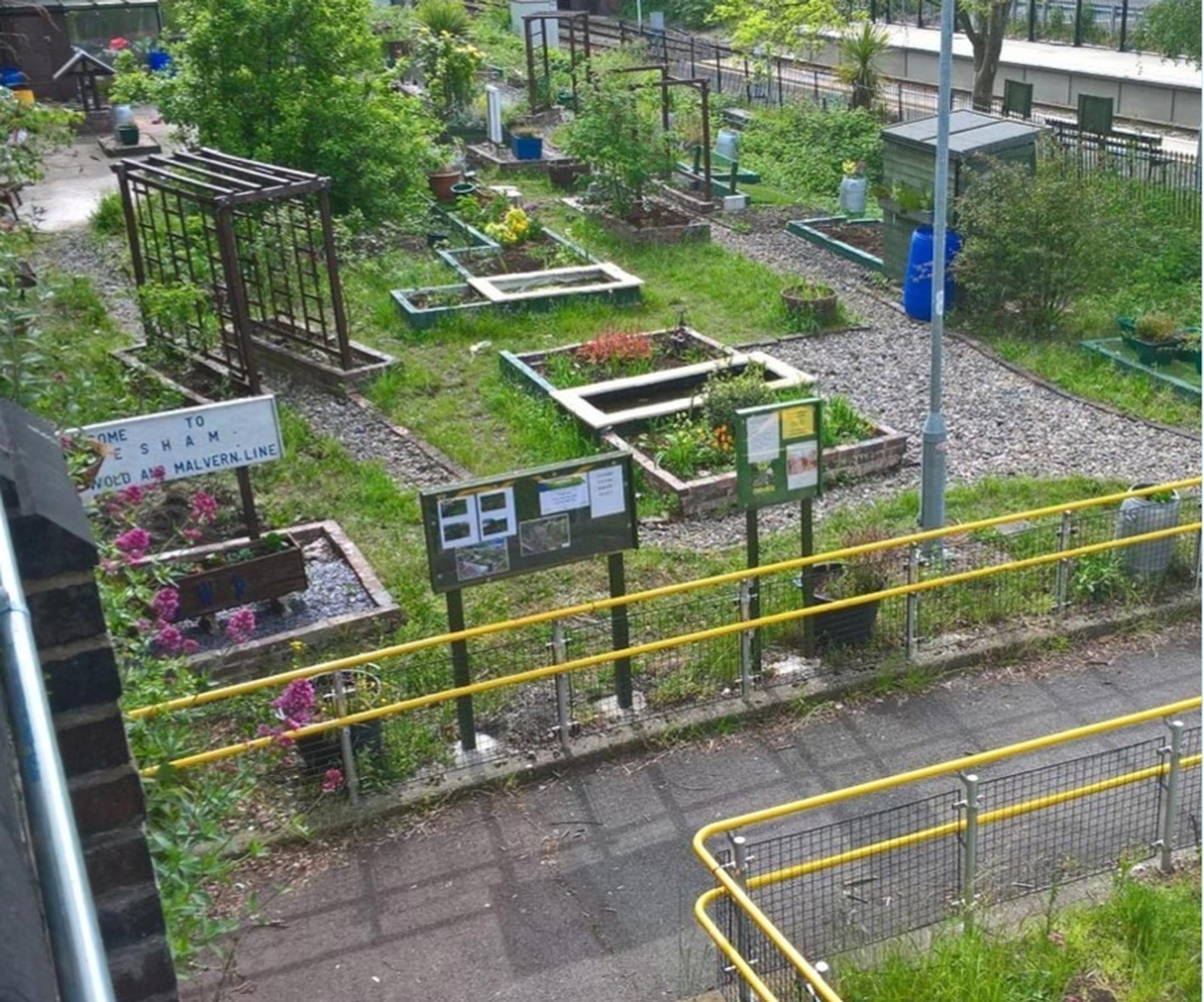 The Evesham Station Garden Project: A team of ‘station adopters’ have transformed what was an overgrown and neglected area
