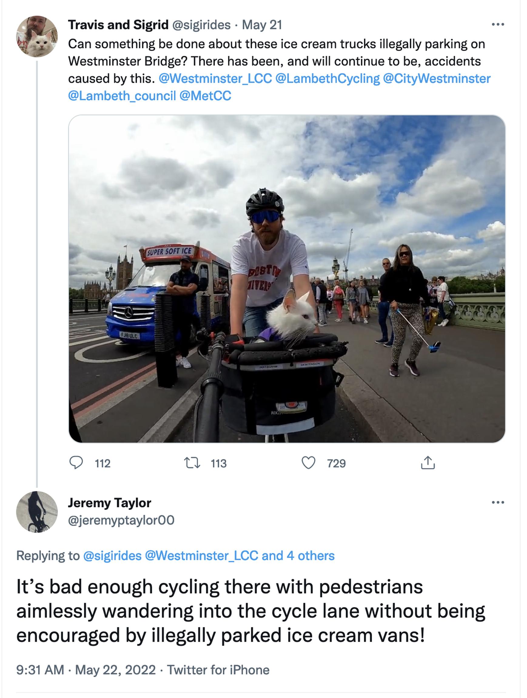Dangers caused by ice cream vans on Westminster Bridge were flagged up by cyclist Travis Nelson, who travels with his deaf cat Sigrid in a front basket
