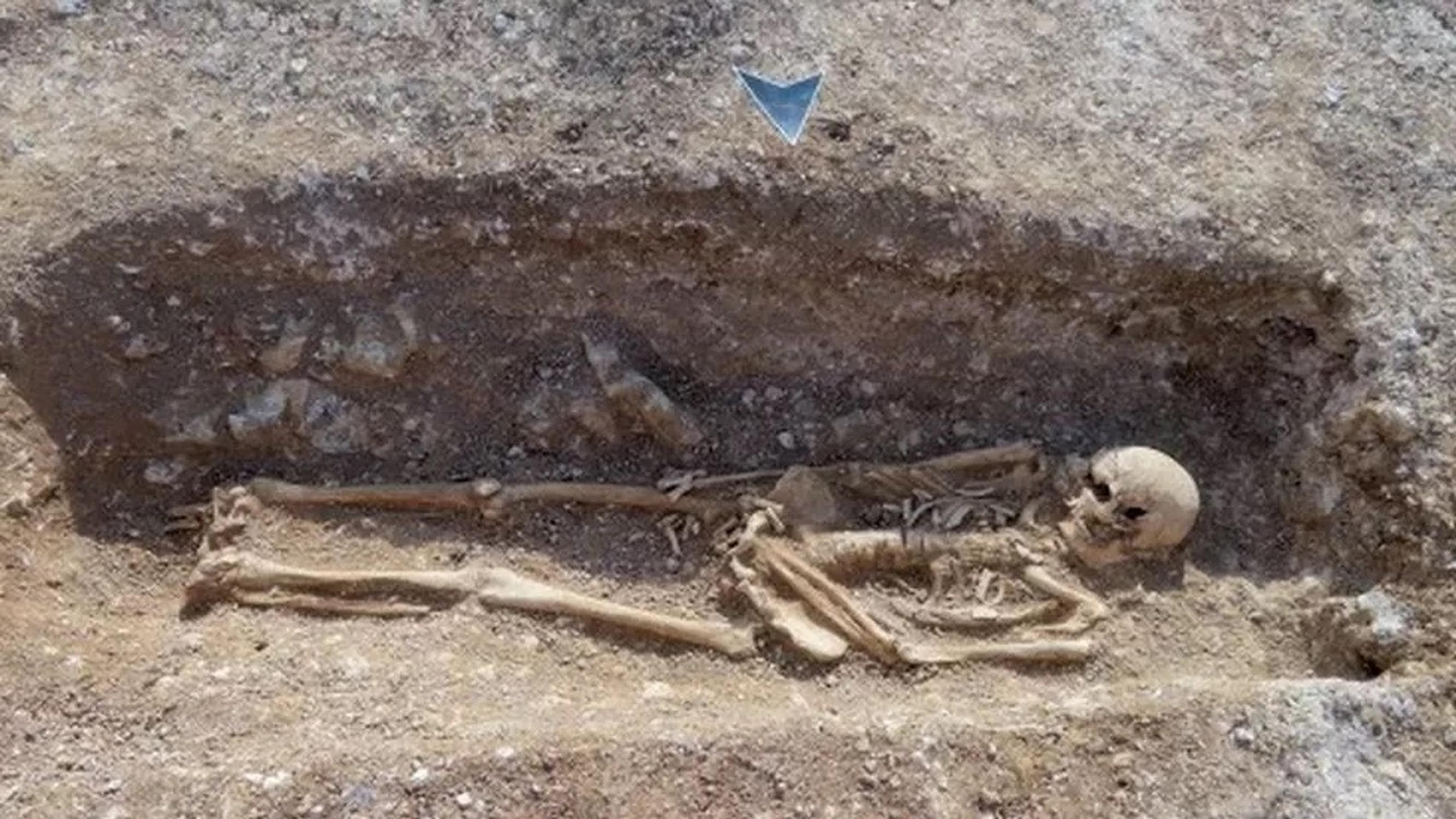 A skeleton unearthed at the Lion Green Road car park in Coulsdon (MOLA)