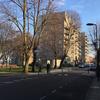 New tree and woodland toolkit: studies show that trees reduce mortality and boost mental health