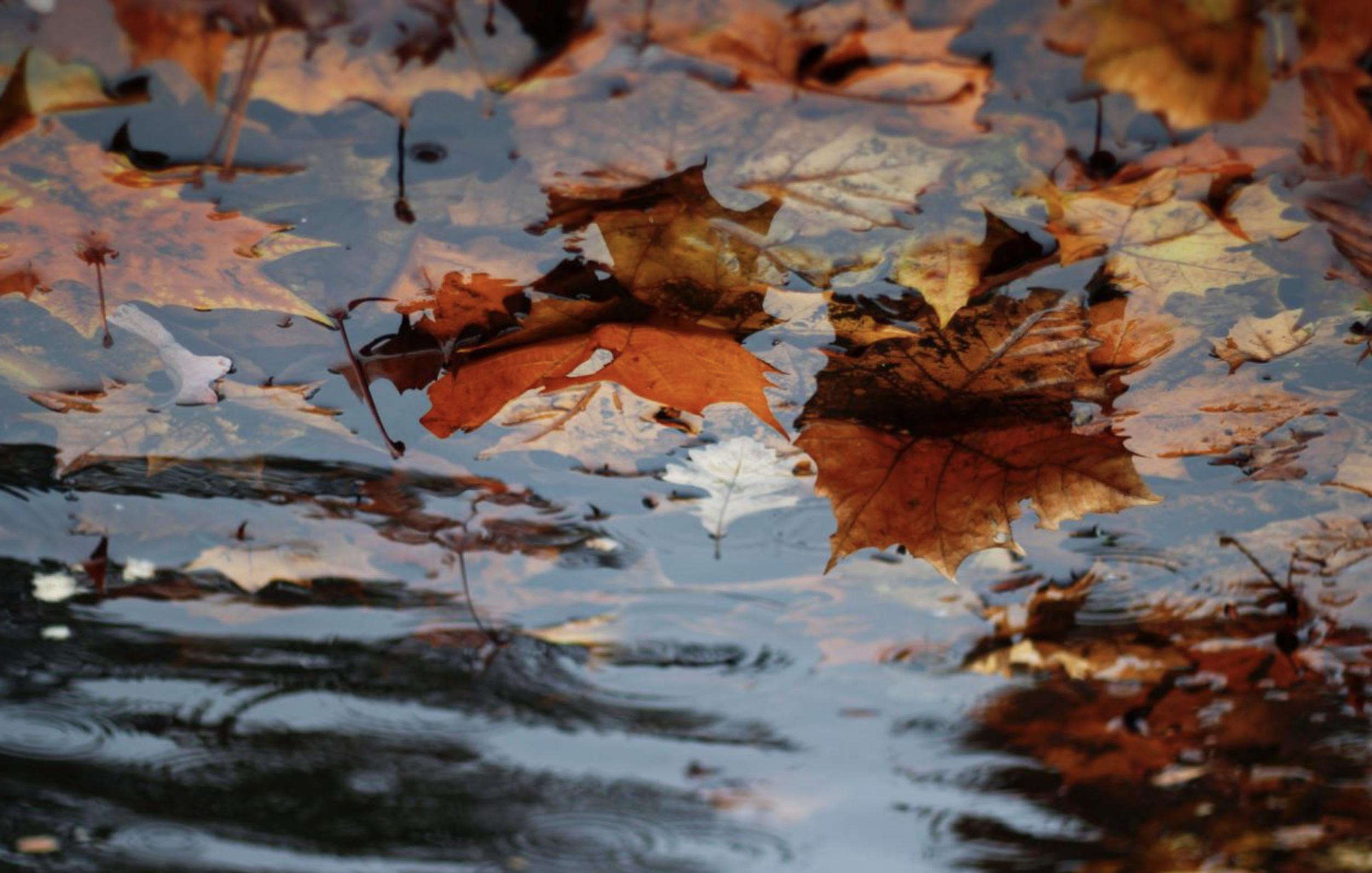 Before setting out on any car journeys, check for known flooding or obstacles on your routes