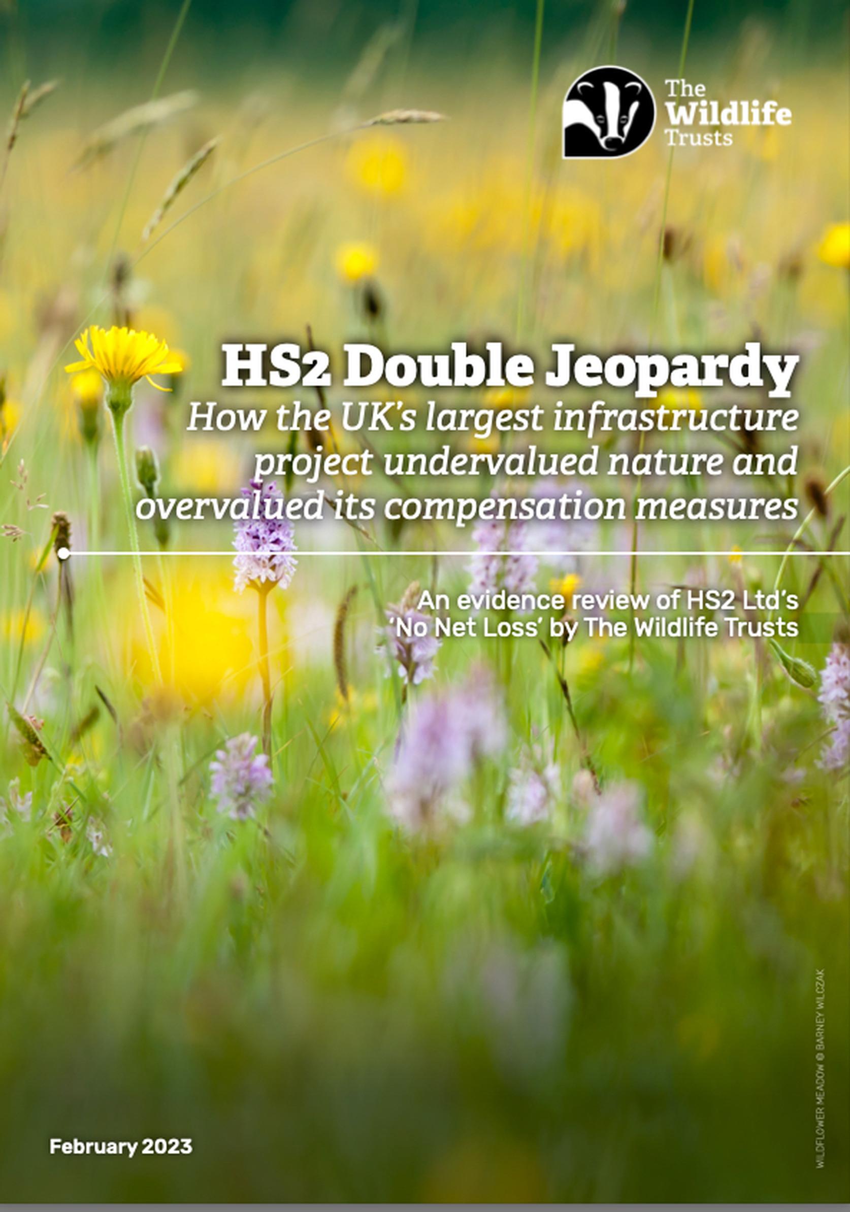 New report for the Wildlife Trusts claims HS2 Ltd has hugely undervalued natural habitats and the wildlife that is being affected by construction along the route –