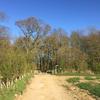 Rising costs of new roads results in fewer affordable homes in East Herts plan