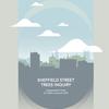 Plan to remove street trees in Sheffield revealed  ‘failure of strategic leadership’