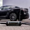 Embracing electric mobility