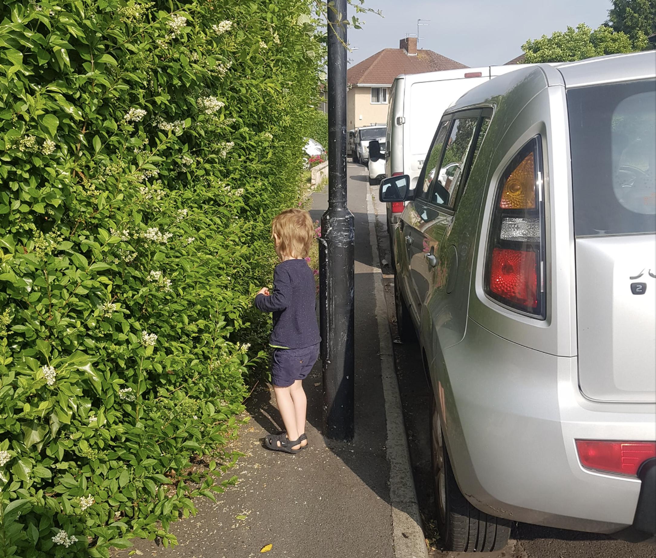 Overgrown hedges pose a hazard to pedestrians