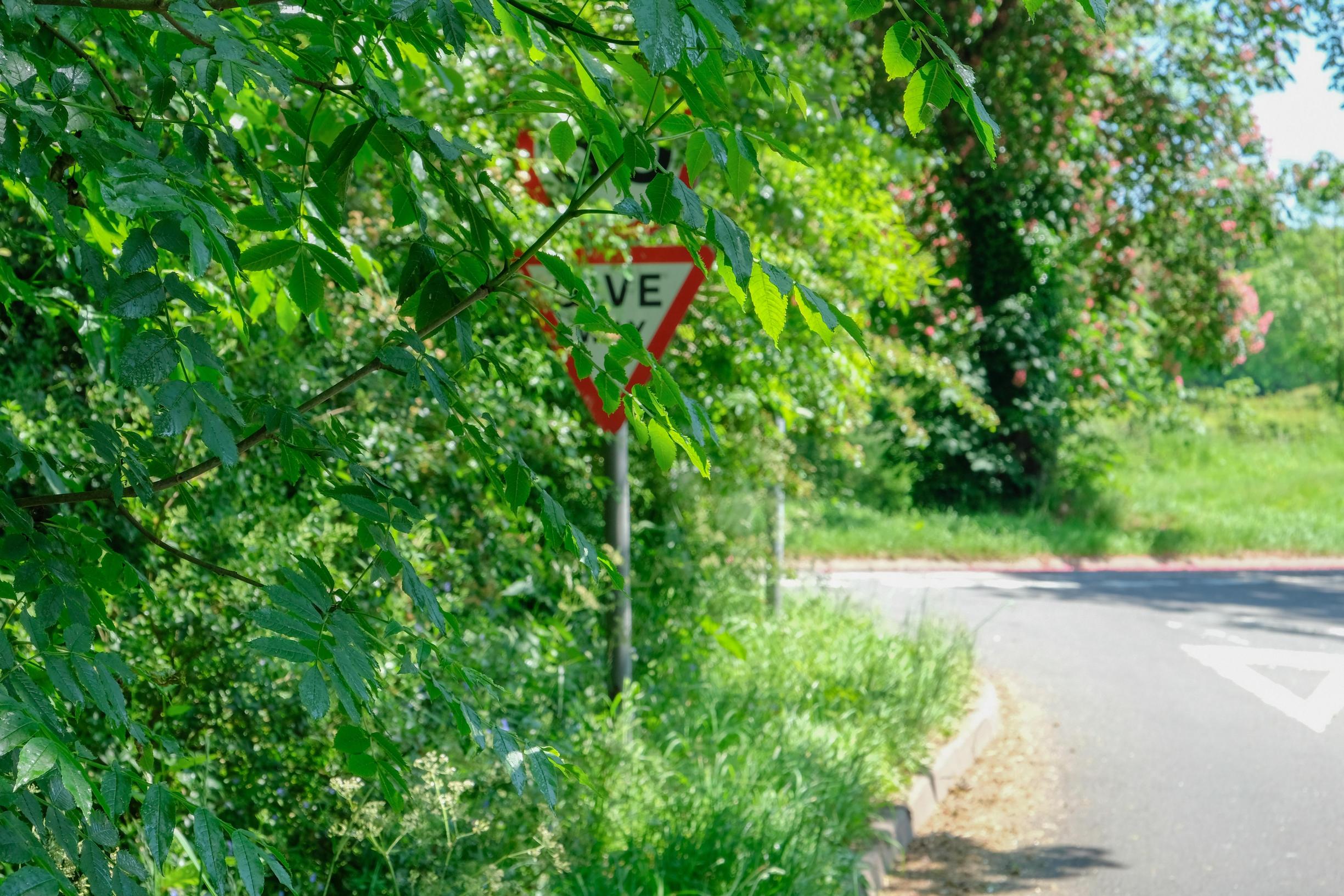 Local authorities and landowners are being urged to cut back roadside foliage