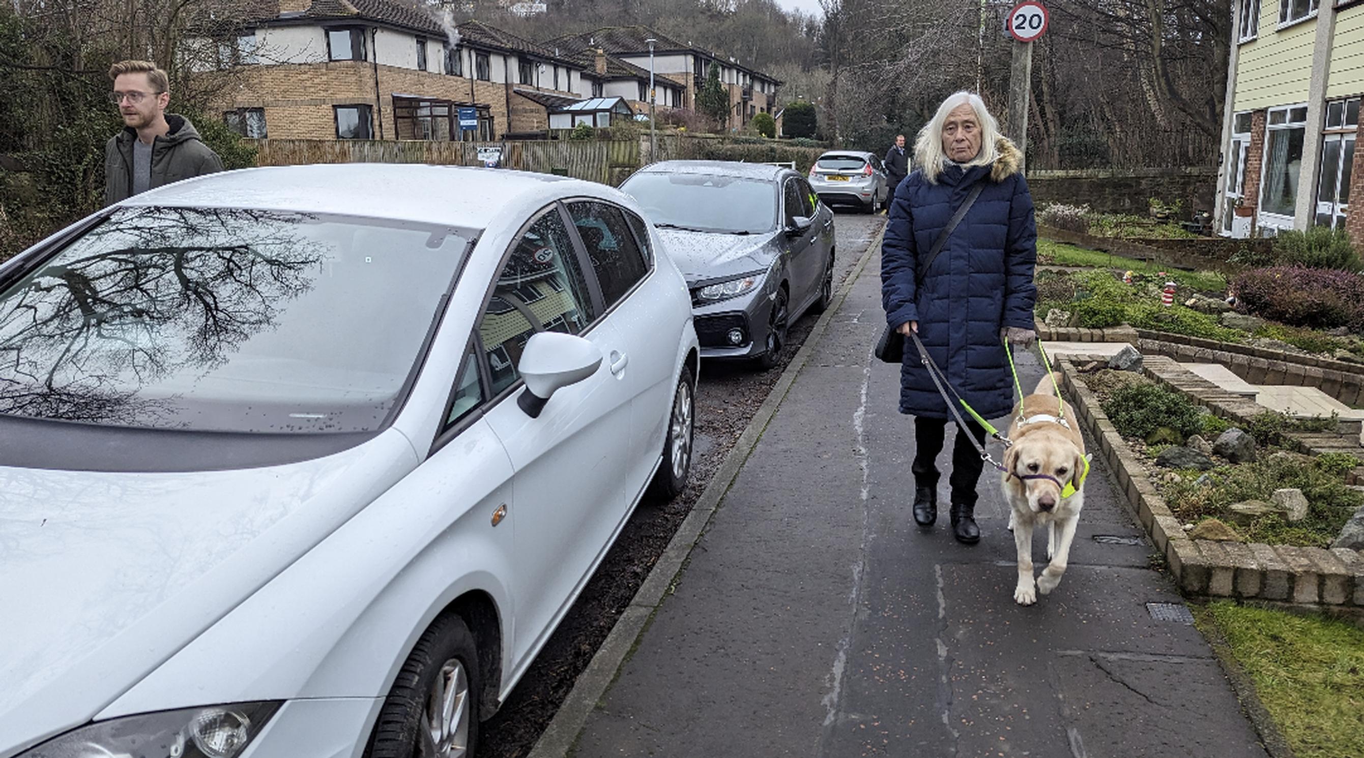 Pavement parking ban has been welcomed by guide dog owners