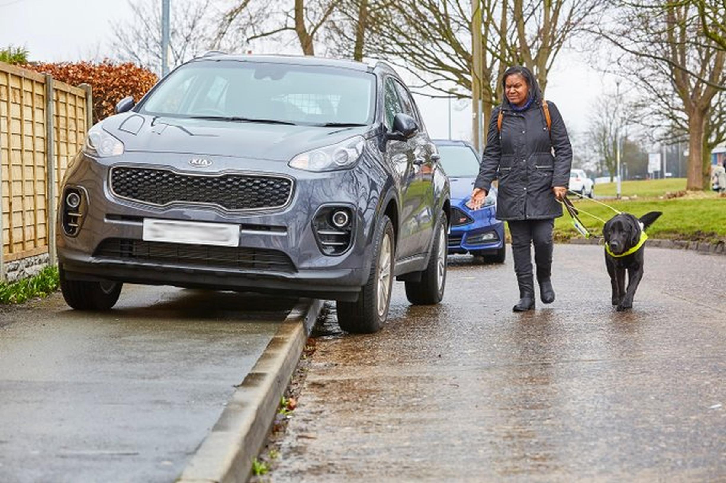 Parliament debates pavement parking