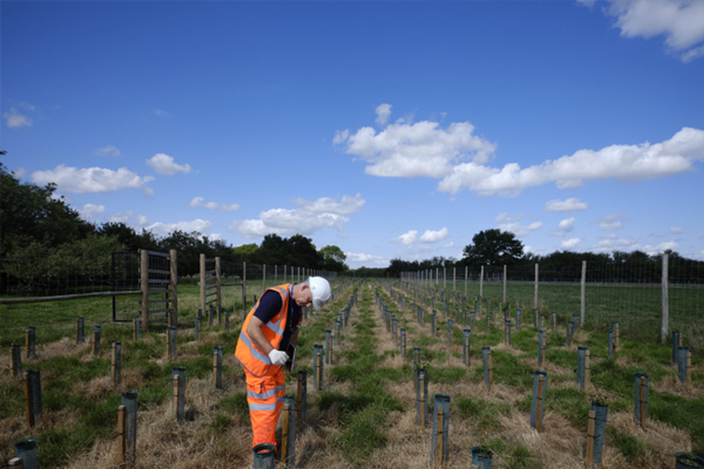 East West Rail says: `We are making environmental sustainability central to our decision-making`