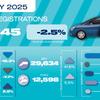 EV share rises despite contracting market