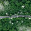 The role of Live Labs II in decarbonising transport