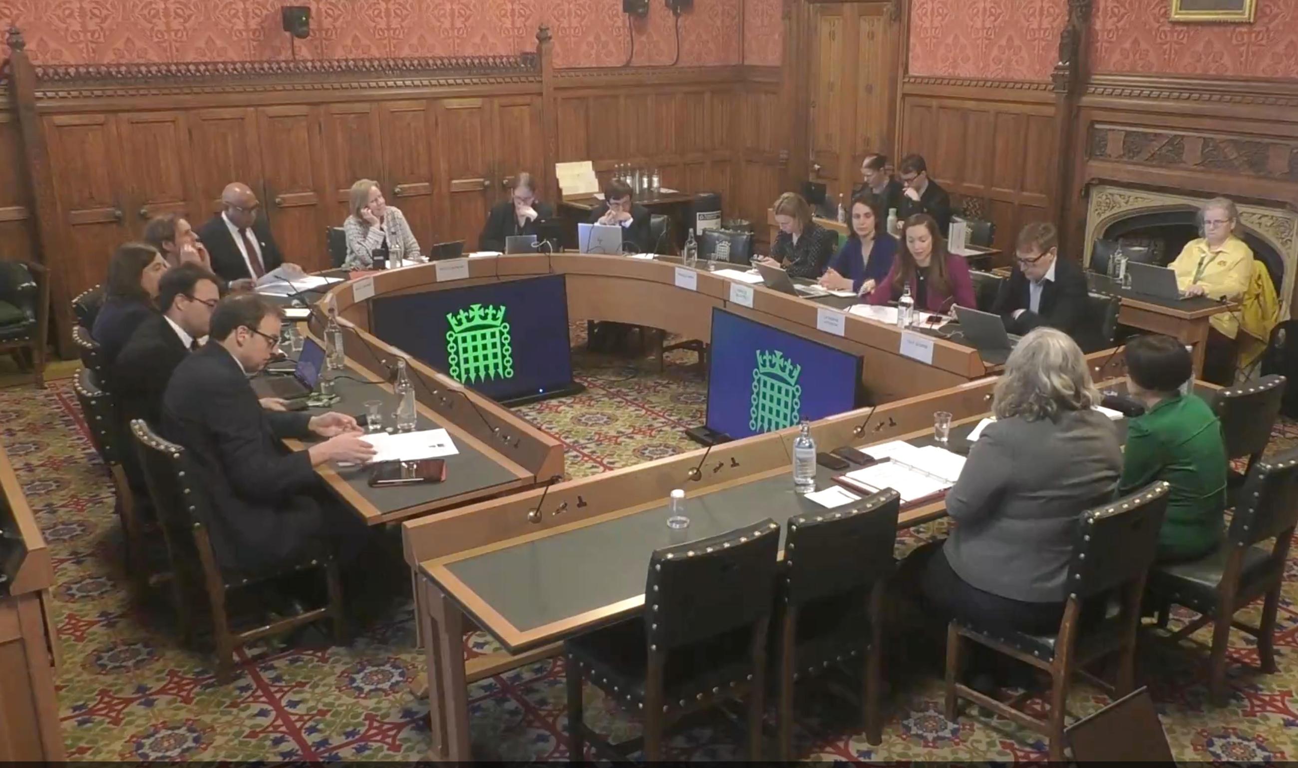 Heidi Alexander at the Transport Committee hearing
