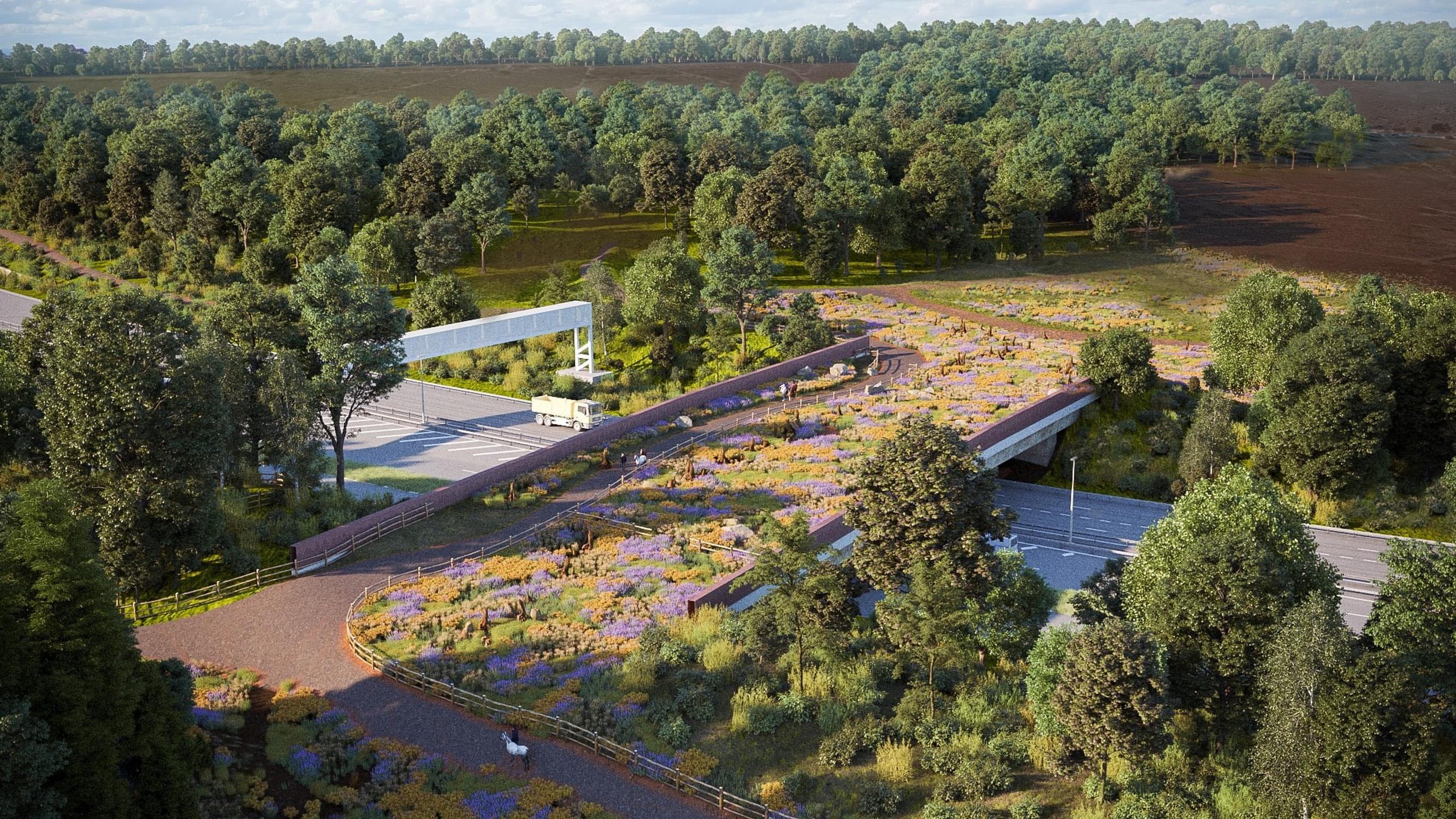 National Highways’ visualisation of how the new Cockrow Bridge, part of the M25 Junction 10 scheme, will look in the future