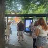 The key role of walkability in public transport usage