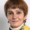 Chair Seeley adds new rail development role to Euston regeneration leadership