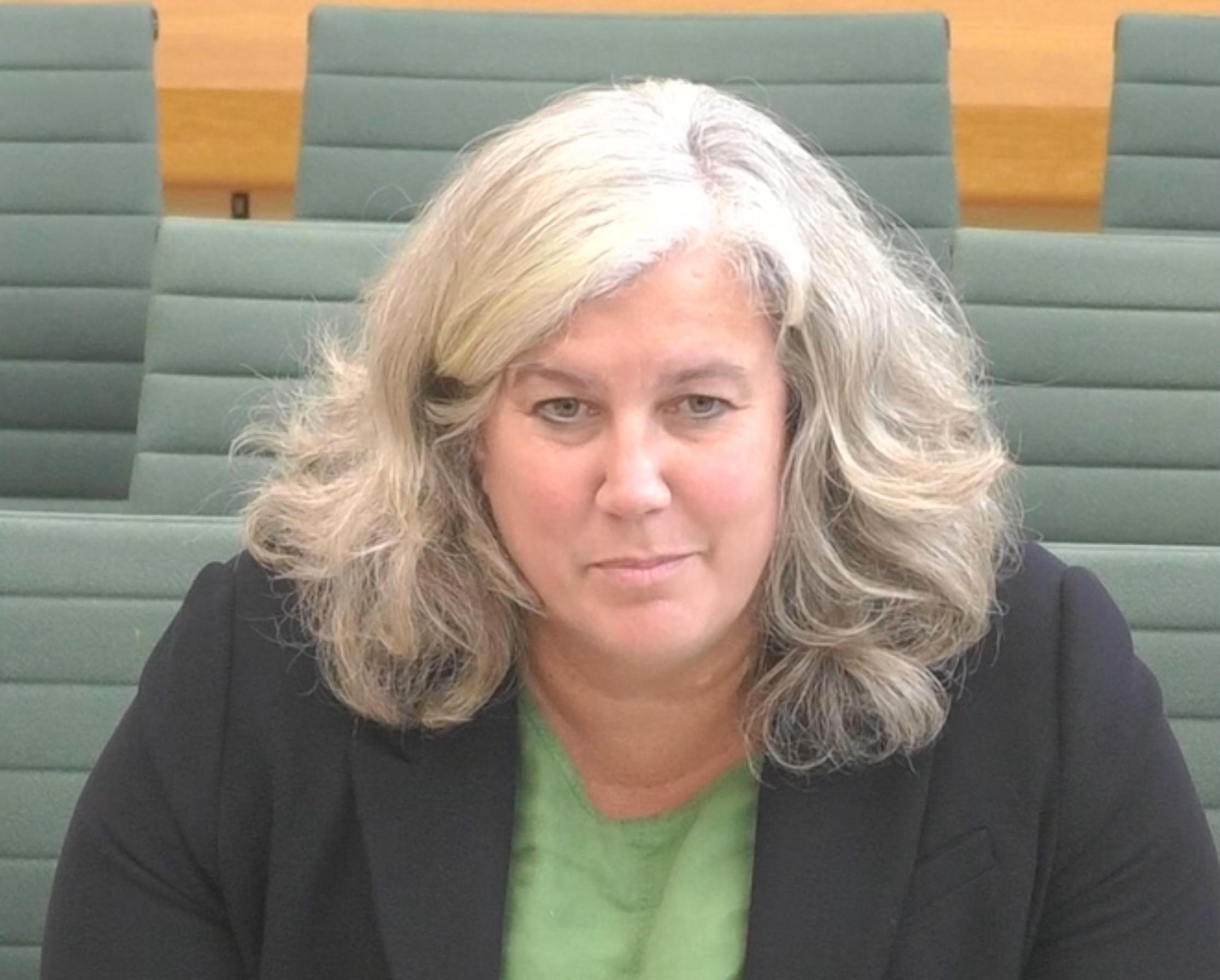 GBR needs protection from political interference, say MPs