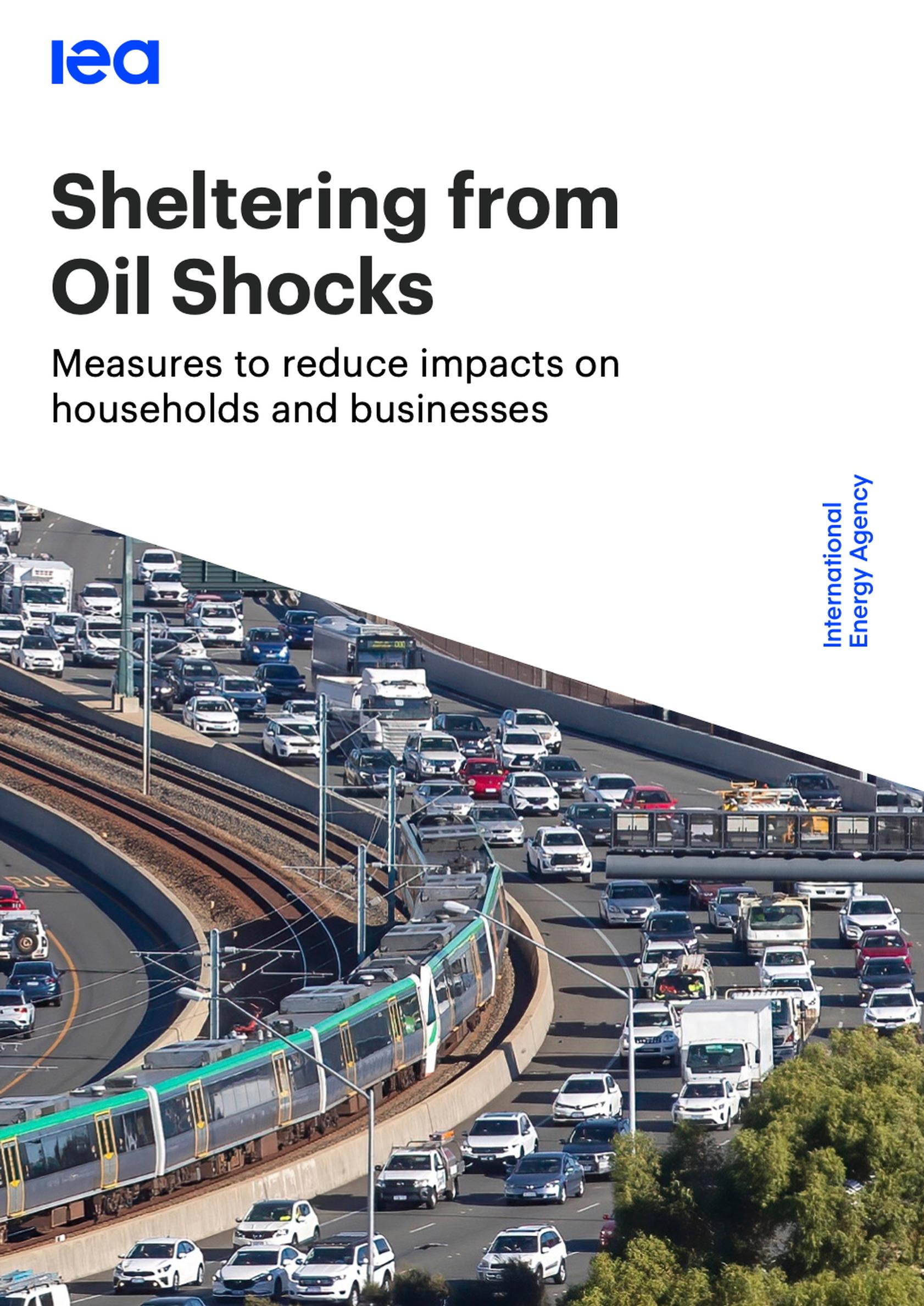 ‘Use public transport and work from home to ease oil crisis’, say energy agency and EU