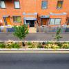 Green scheme transforms Waltham Forest’s ‘street with no trees’