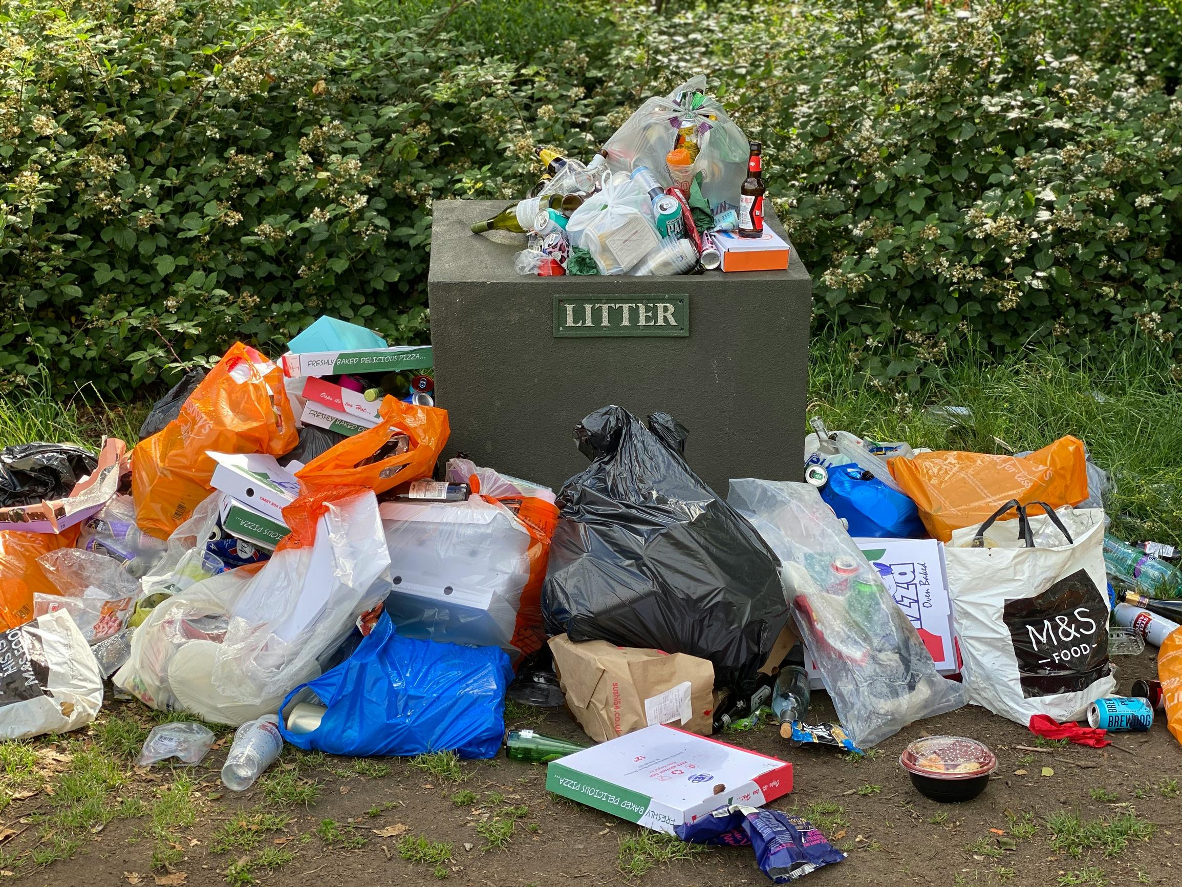 Litter (John Cameron/Unsplash)