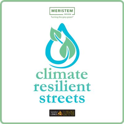 Climate Resilient Streets product